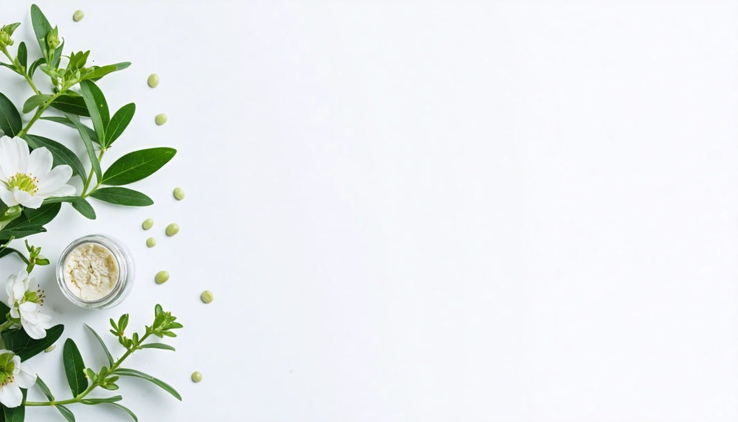 Understanding A&D Ointment: Uses, Benefits, and Ingredients - Gamut Packaging