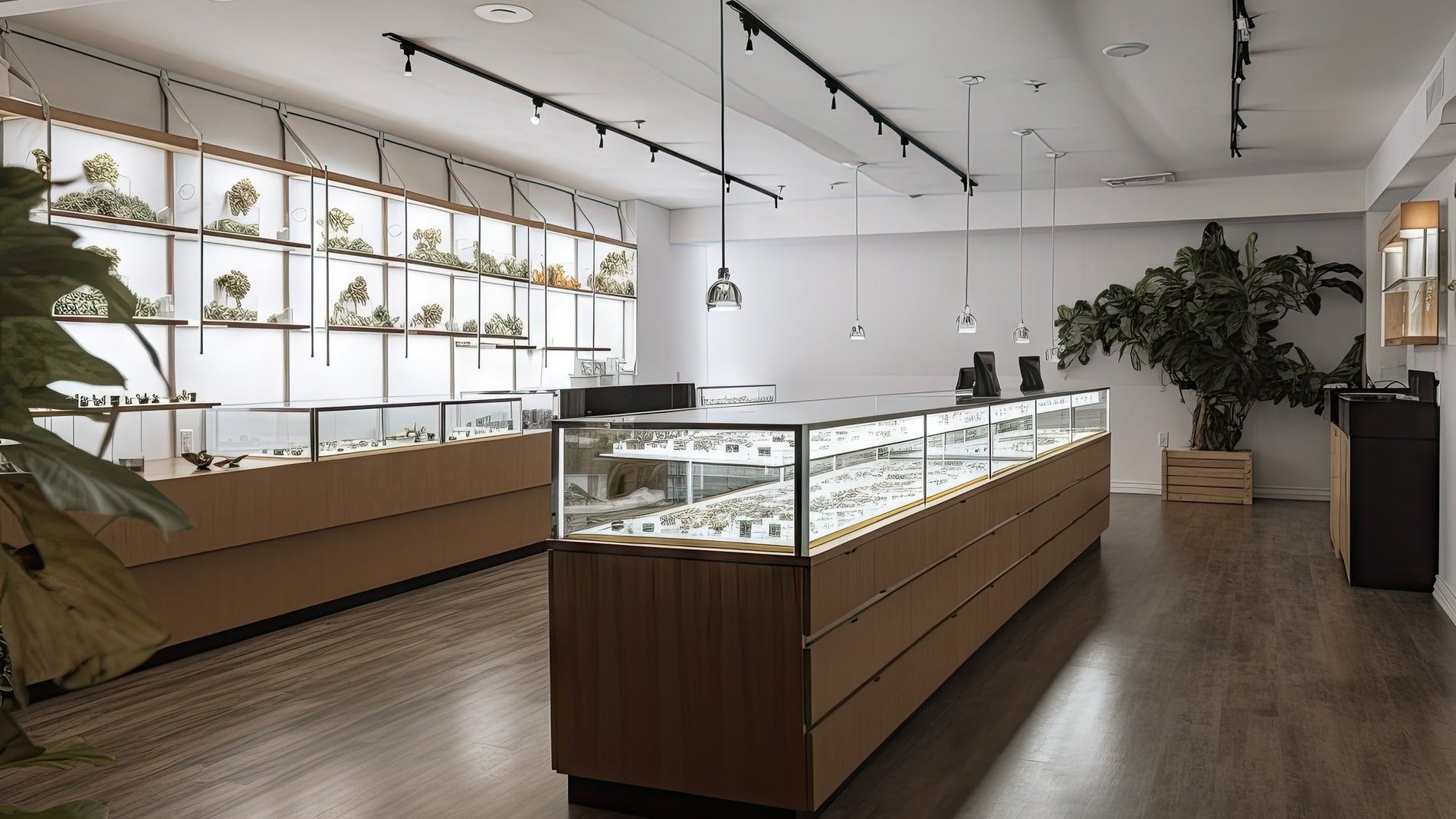 Can Dispensaries Take Credit Cards? - Gamut Packaging