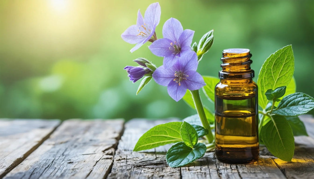 Top Sources and Recommendations for Buying the Best Patchouli Oil - Gamut Packaging