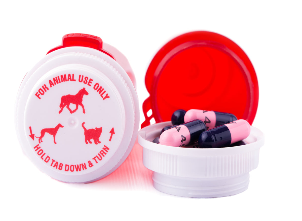 Tailored Packaging Solutions for Veterinary Medications – Gamut Packaging