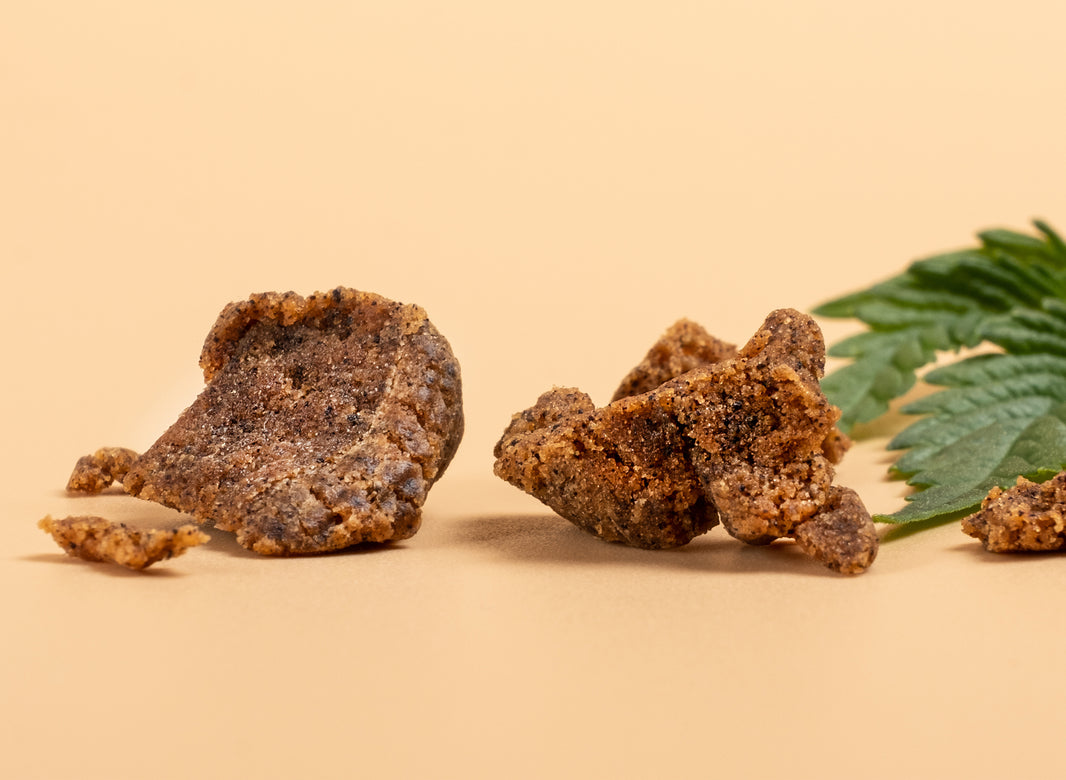 What Is Bubble Hash? - Gamut Packaging