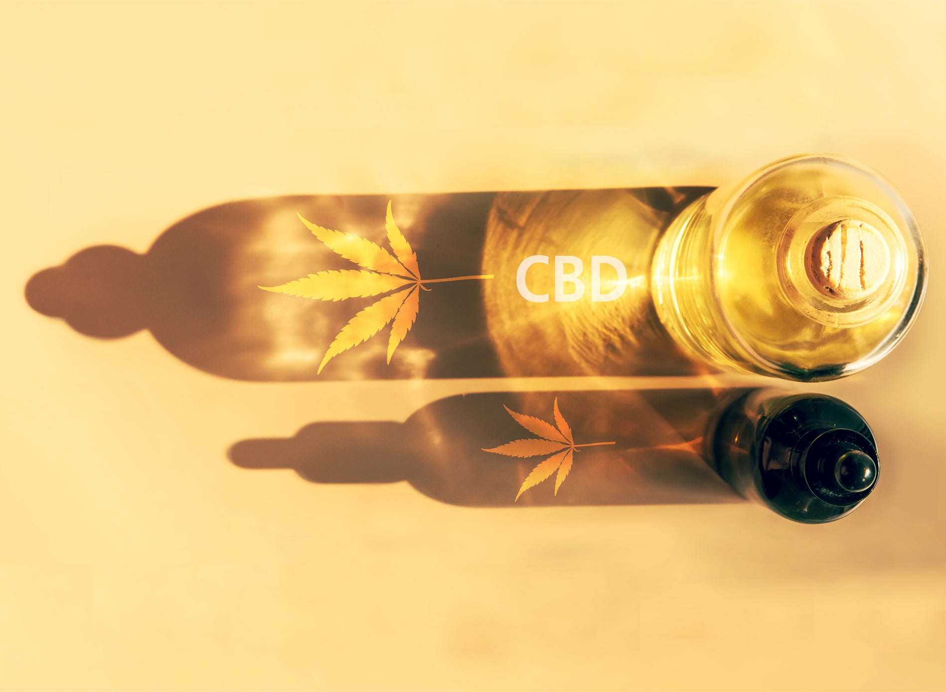 Does CBD Expire? Storage Tips for Maximum Shelf Life - Gamut Packaging