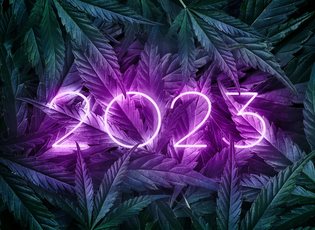 Trends in the Cannabis Industry 2023 - Gamut Packaging