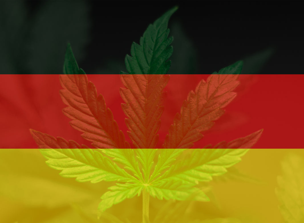 Marijuana Could Be Legal In Germany Soon - Gamut Packaging