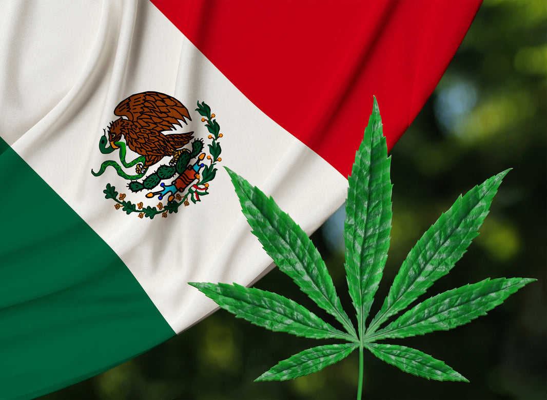 Mexico Paves Way for Cannabis Industry with First-Ever License  - Gamut Packaging