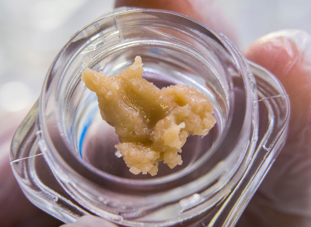 Rosin and Live Resin: Differences & Similarities - Gamut Packaging