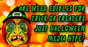 Are Marijuana Edibles a Trick-or-Treat Terror or Just Halloween Hype? - Gamut Packaging