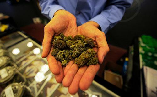 Boston Approves First Medical Marijuana Dispensaries - Gamut Packaging