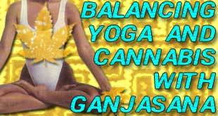 Cannabis for Health Takes an Active Approach with Ganjasana Yoga - Gamut Packaging