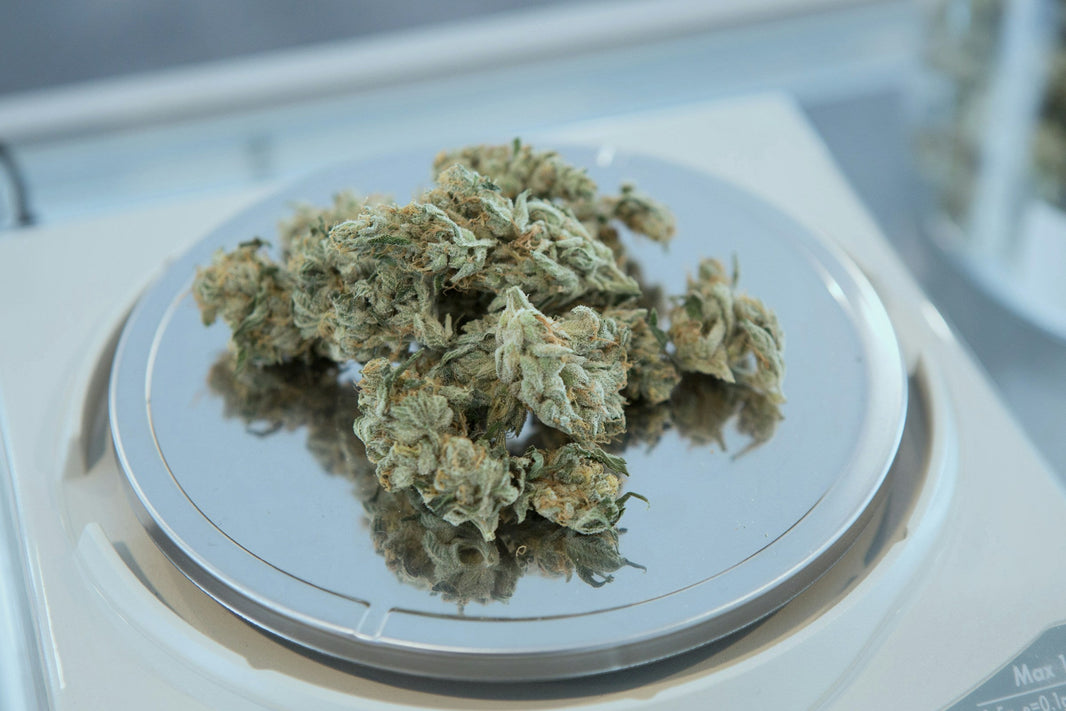 How Fast Does Marijuana Grow? - Gamut Packaging