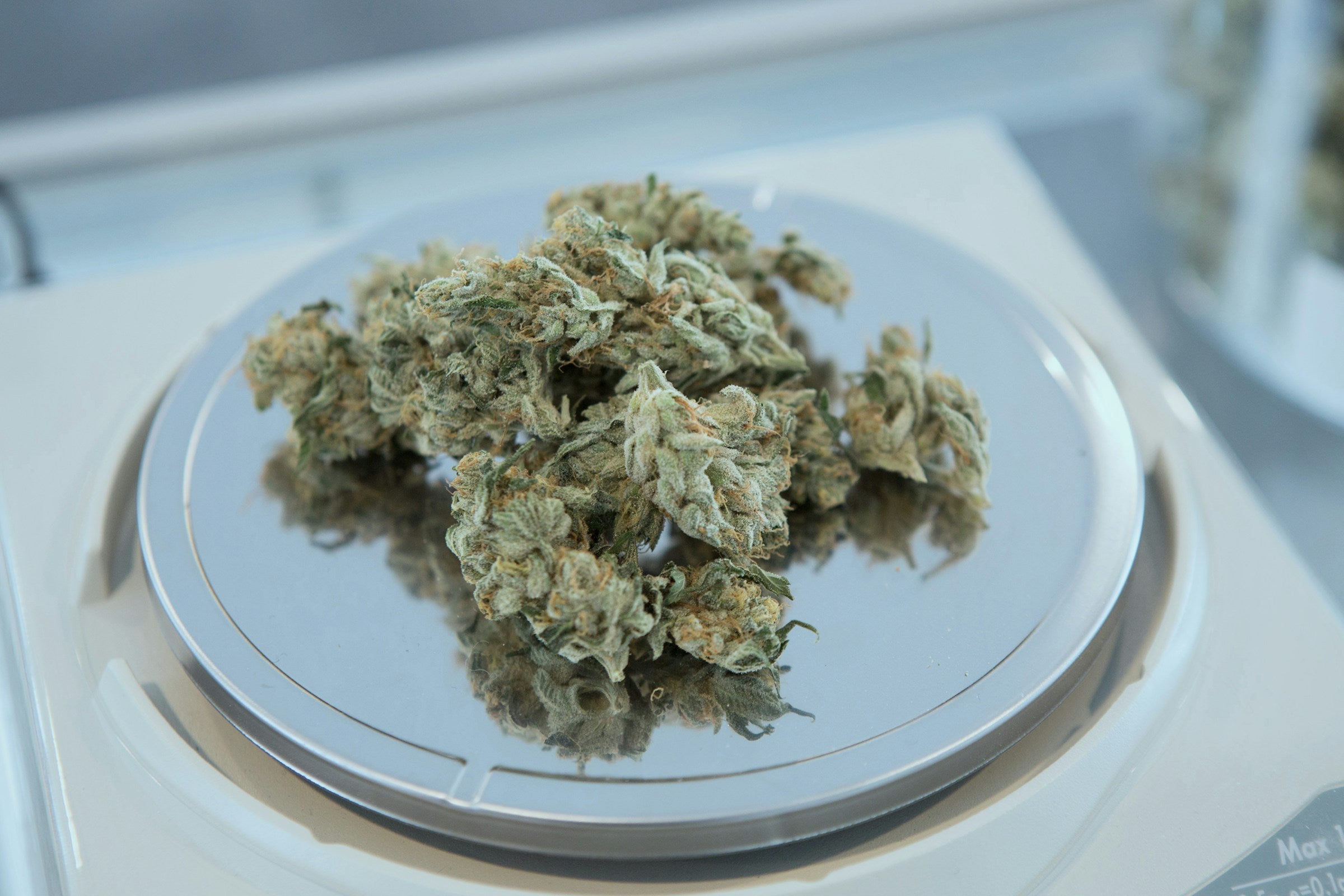 Can You Grow Marijuana in Texas? - Gamut Packaging