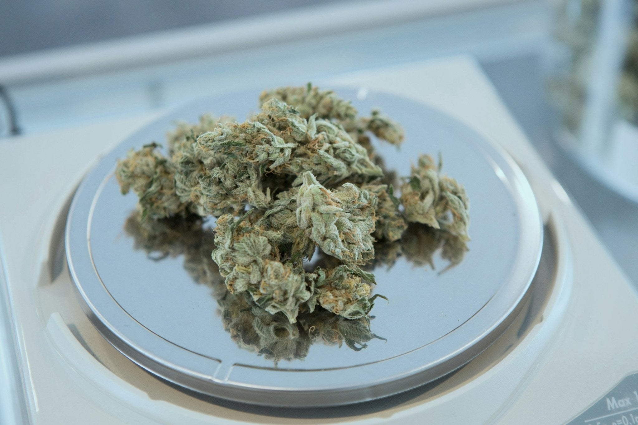 How to Tell if Marijuana Seeds are Male Or Female - Gamut Packaging