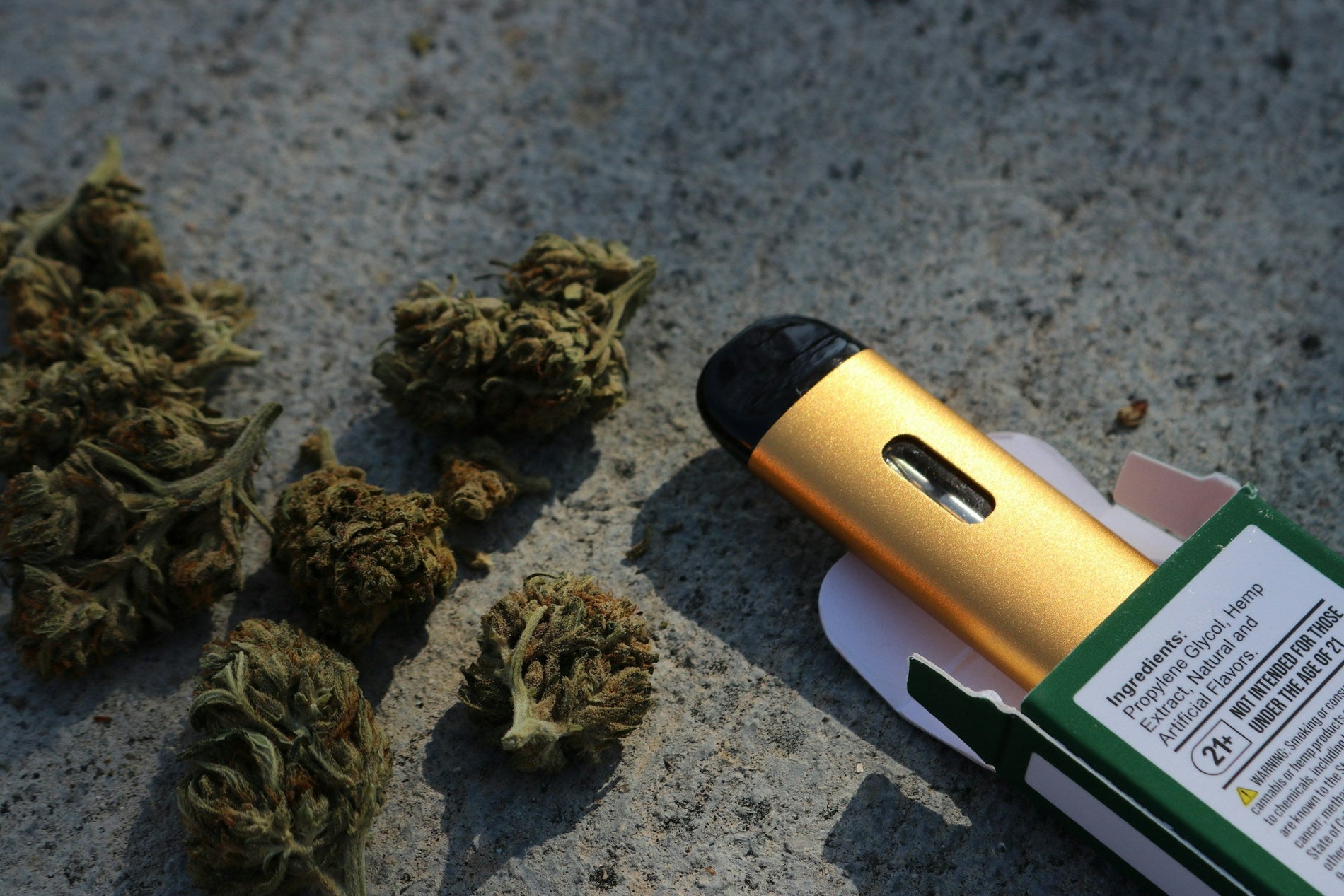How to Grow a Marijuana Plant - Gamut Packaging