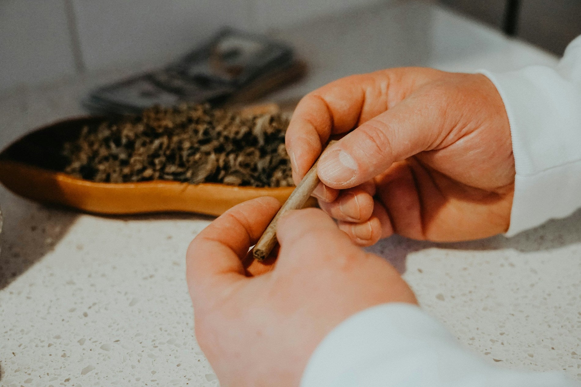 What Happens to Marijuana Plants if They Freeze - Gamut Packaging