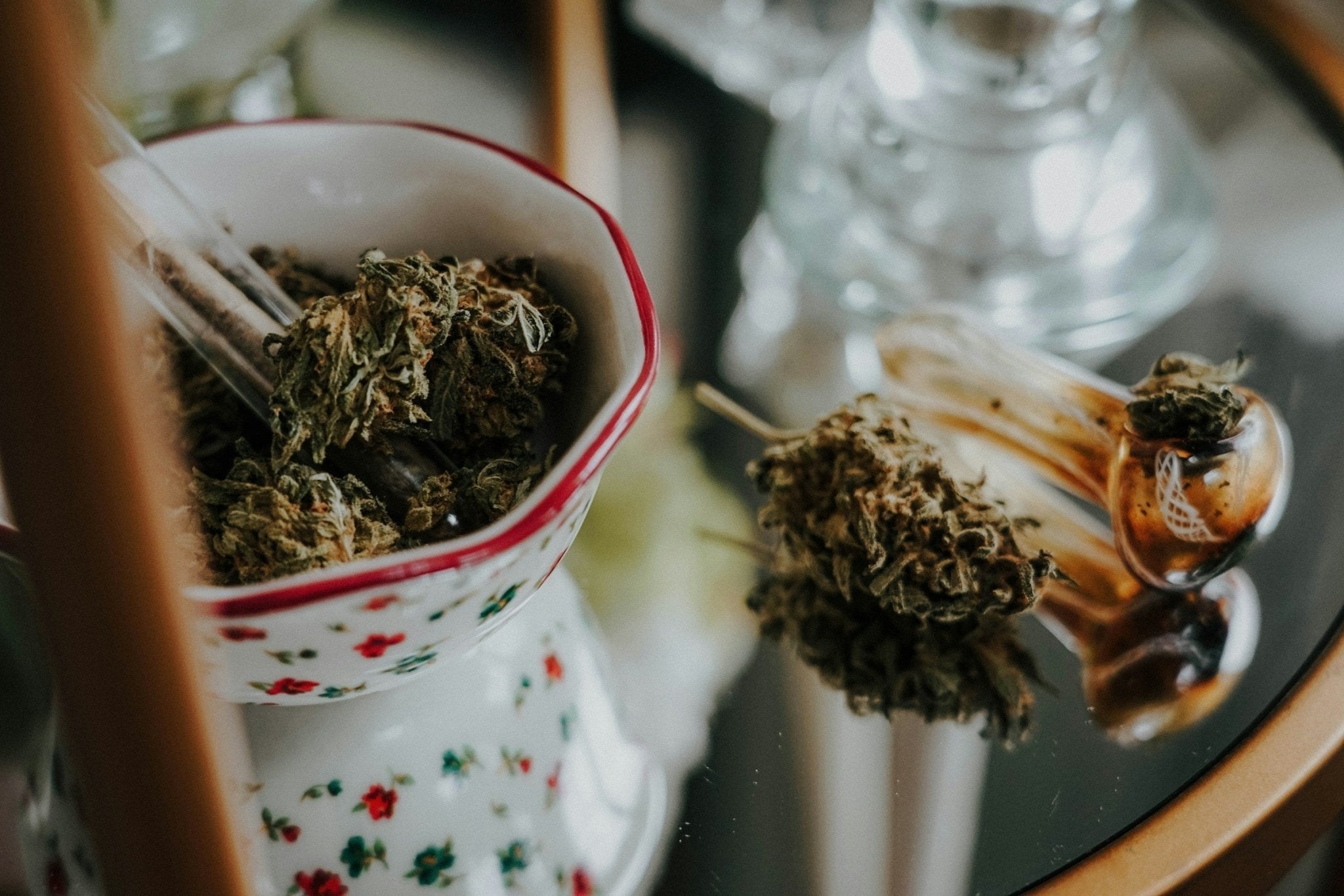 What State Has the Best Marijuana - Gamut Packaging