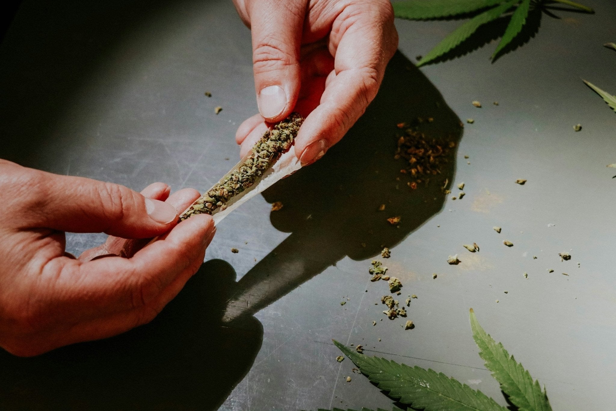 What States is it Legal to Grow Marijuana - Gamut Packaging