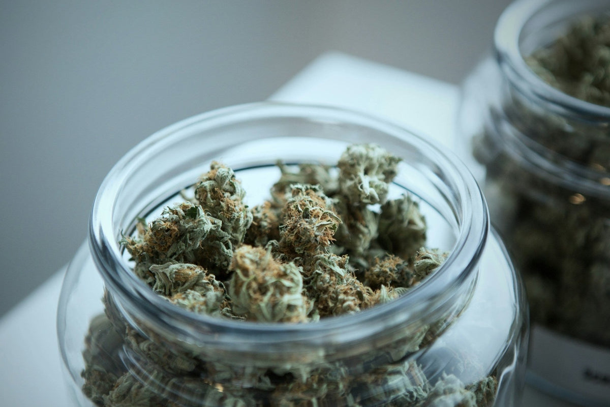 What is a Marijuana Dispensary - Gamut Packaging