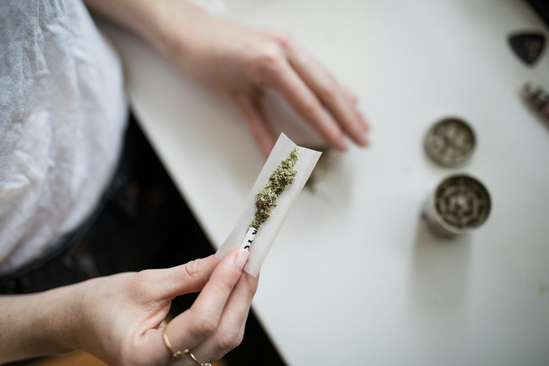 How Far Apart to Plant Marijuana Plants - Gamut Packaging