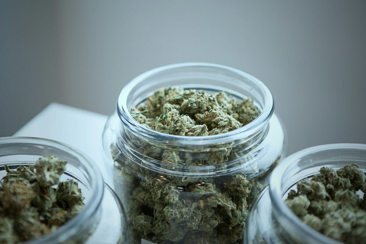 How to Grind Marijuana - Gamut Packaging