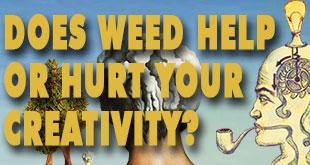 Effects of Marijuana on the Brain May Stoke Creativity - Gamut Packaging