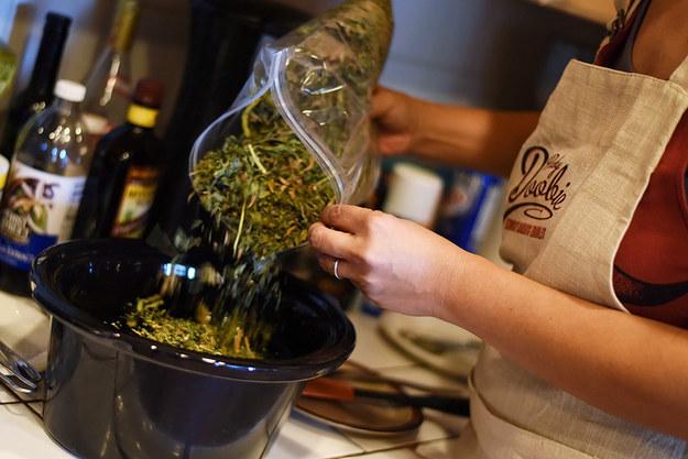 How to Cook Marijuana Infused Meals for "Danksgiving" - Gamut Packaging