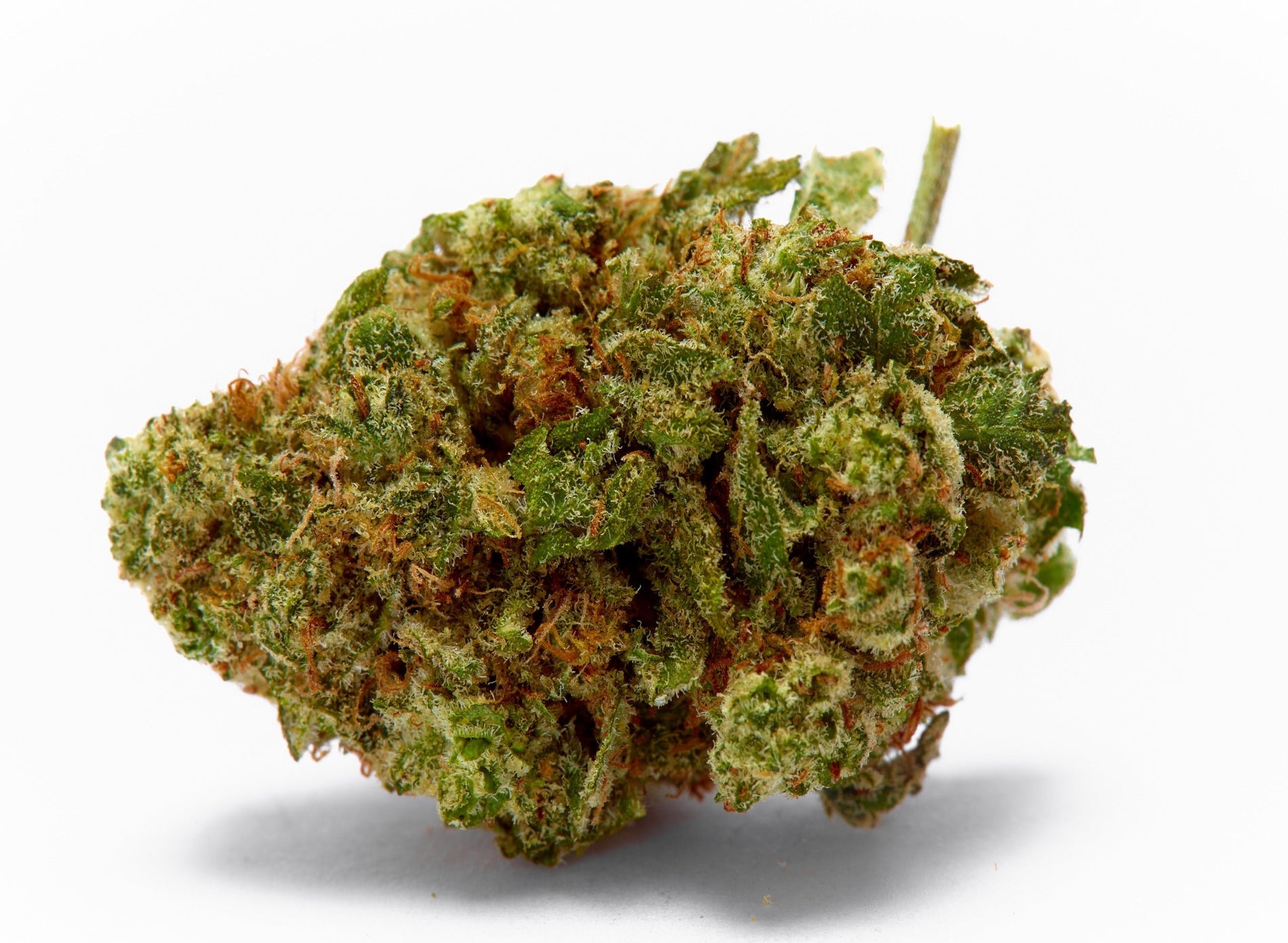 Cannabis Strain Overview: Sour Diesel - Gamut Packaging