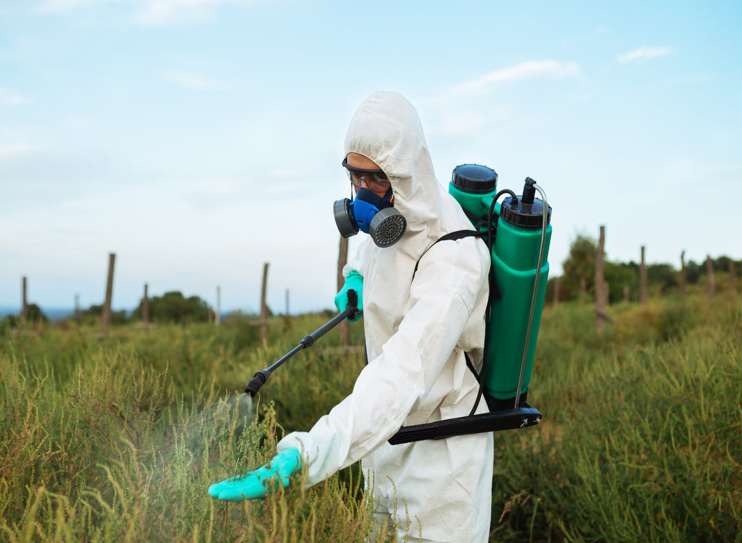 The Buzz Around Clean Cannabis: Mastering Pest Control for a Thriving Crop - Gamut Packaging