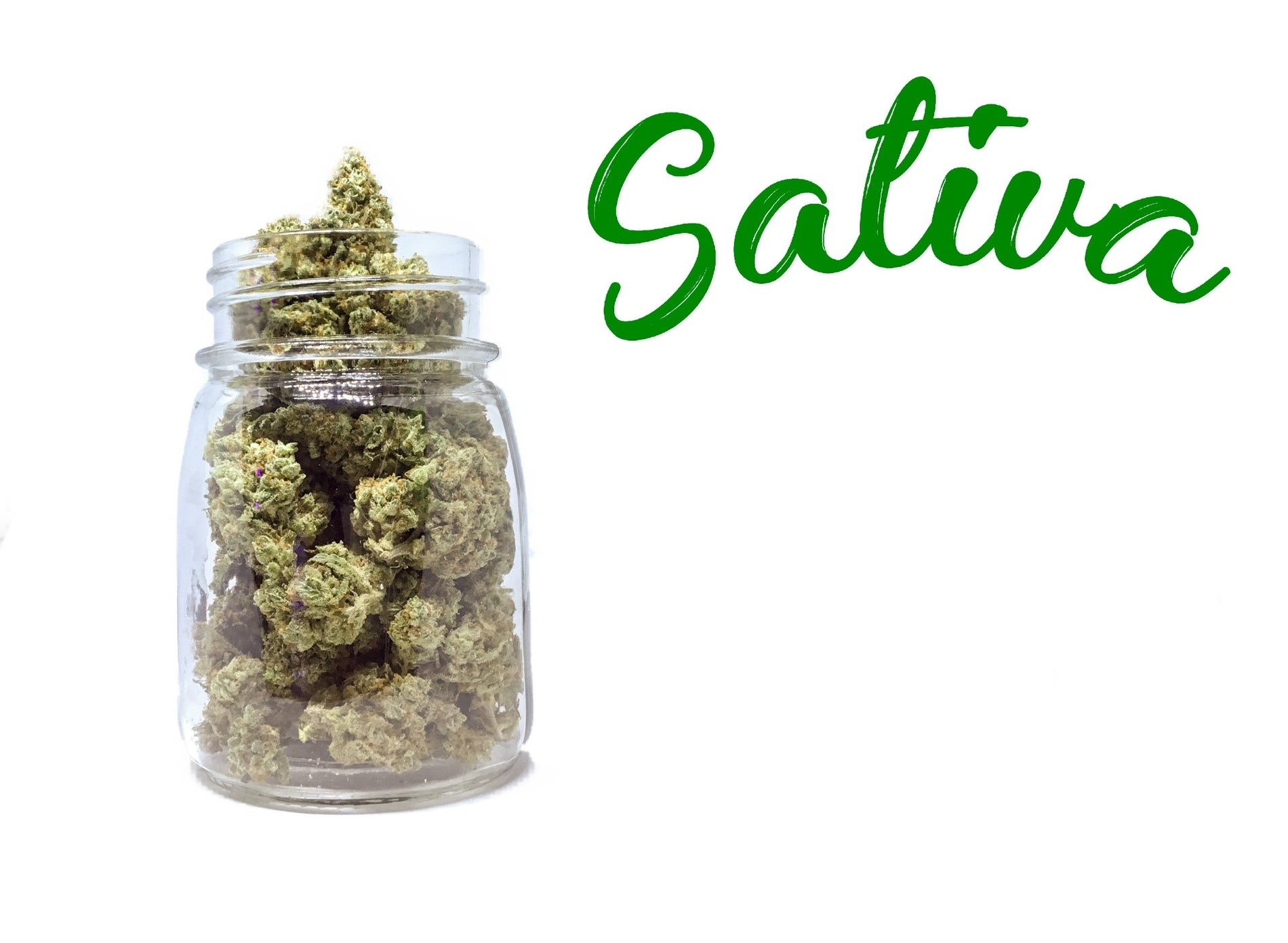 Benefits of Sativa - Gamut Packaging