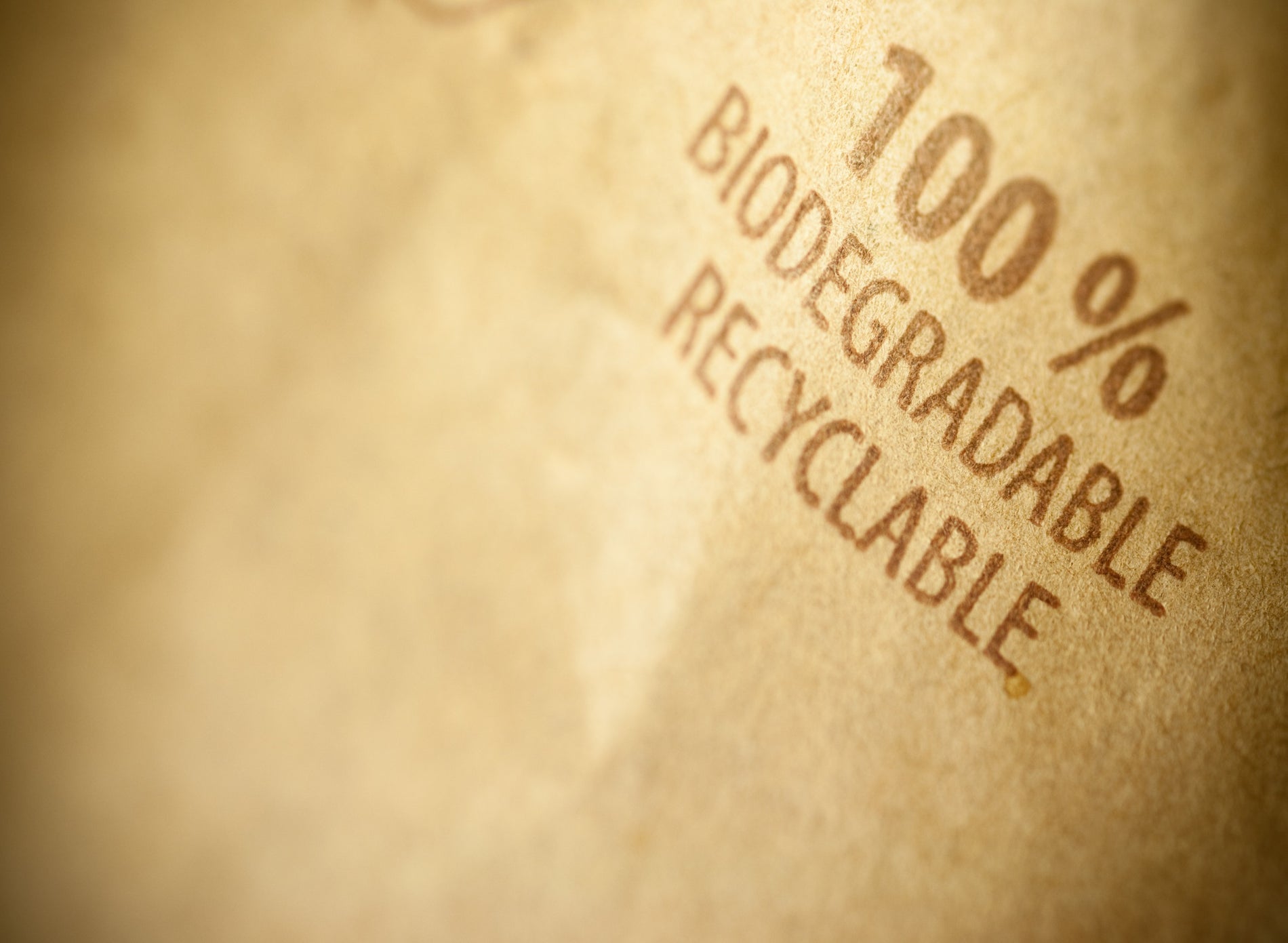 Biodegradable Packaging: The New Standard for Eco-conscious Brands - Gamut Packaging