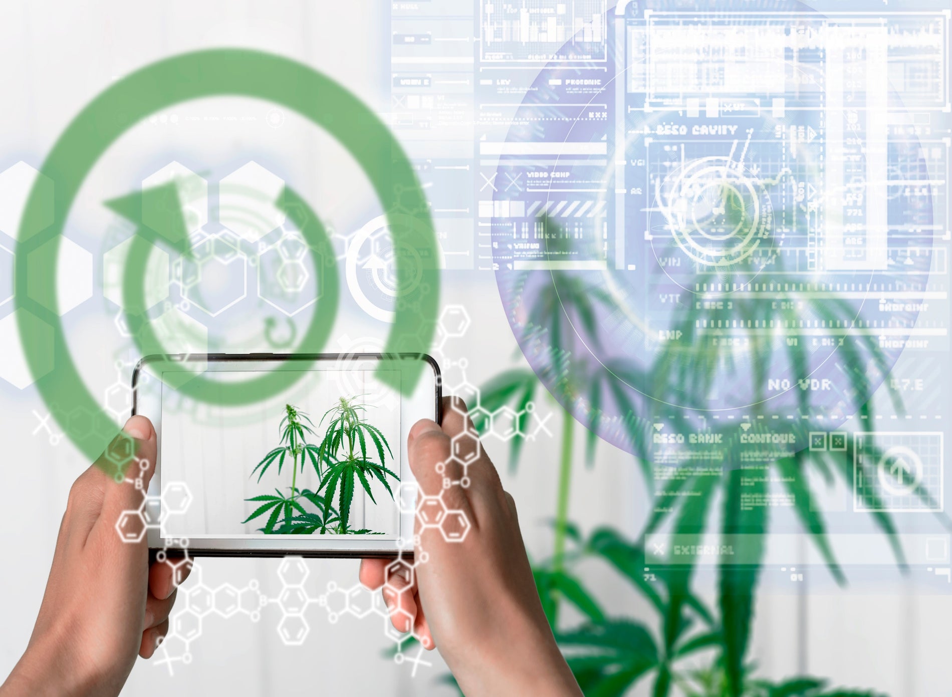 Incorporating Augmented Reality into Cannabis Packaging: Enhancing User Experience - Gamut Packaging