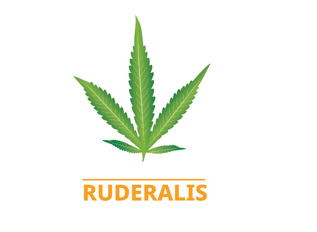 Cannabis Ruderalis - Gamut Packaging