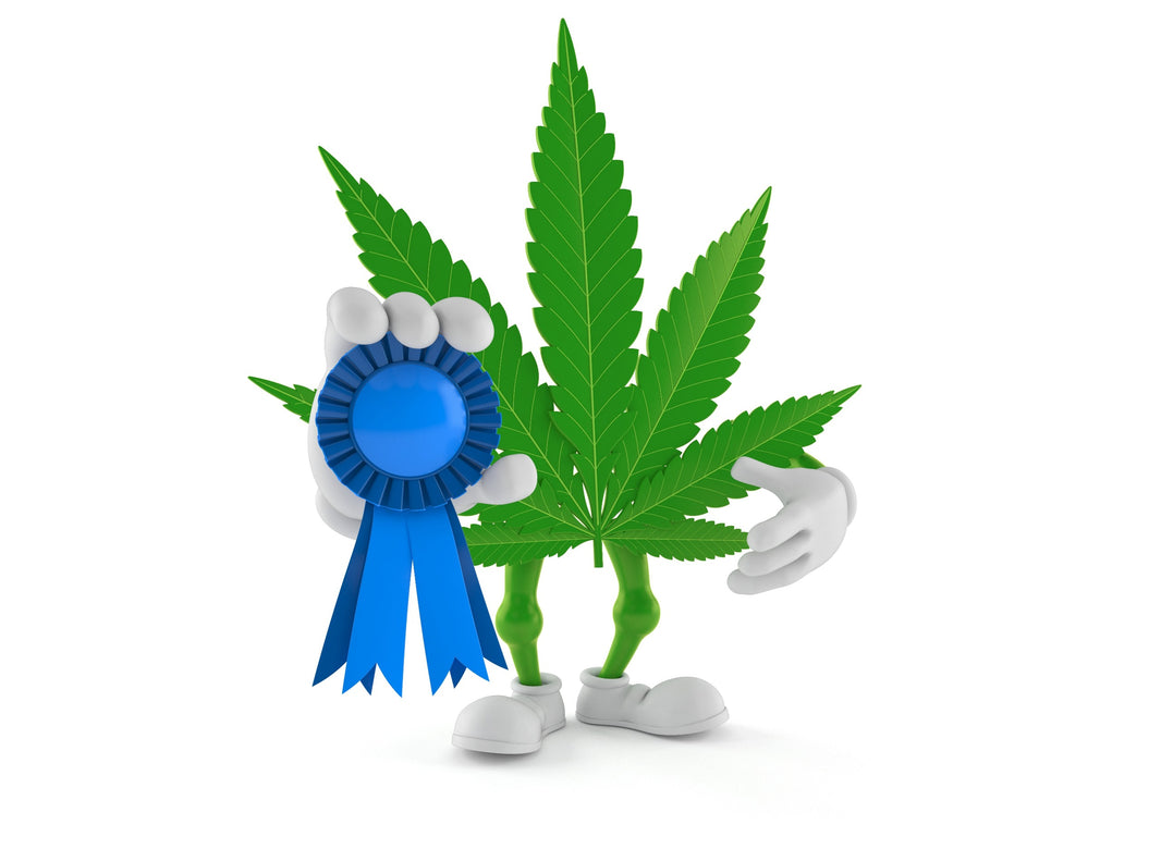 Cannabis Awards: What Competitions Are In the Industry? - Gamut Packaging