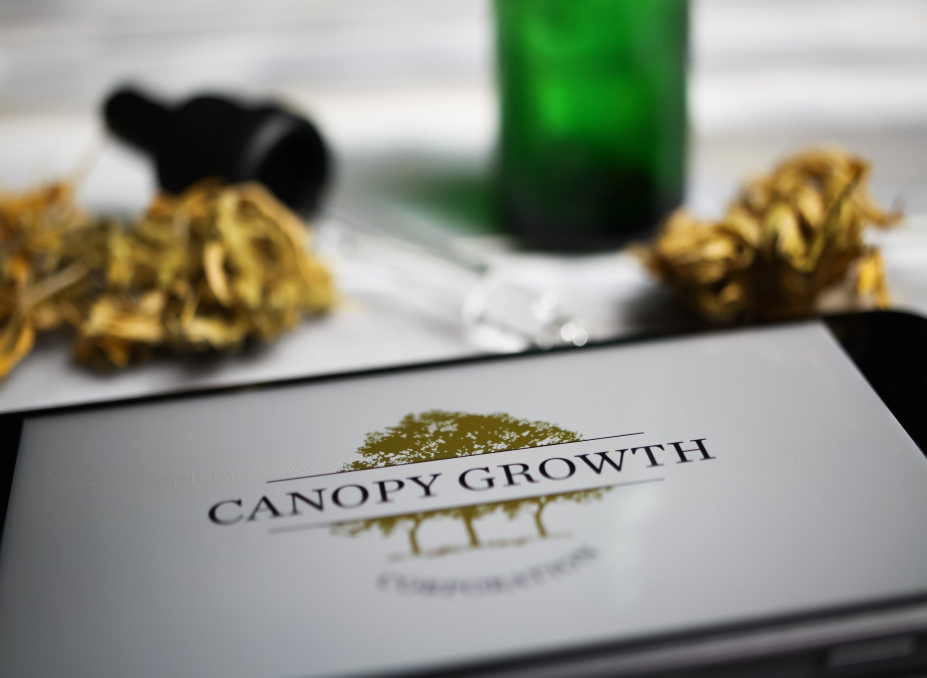 Leading Cannabis Enterprises in the United States and Globally - Gamut Packaging