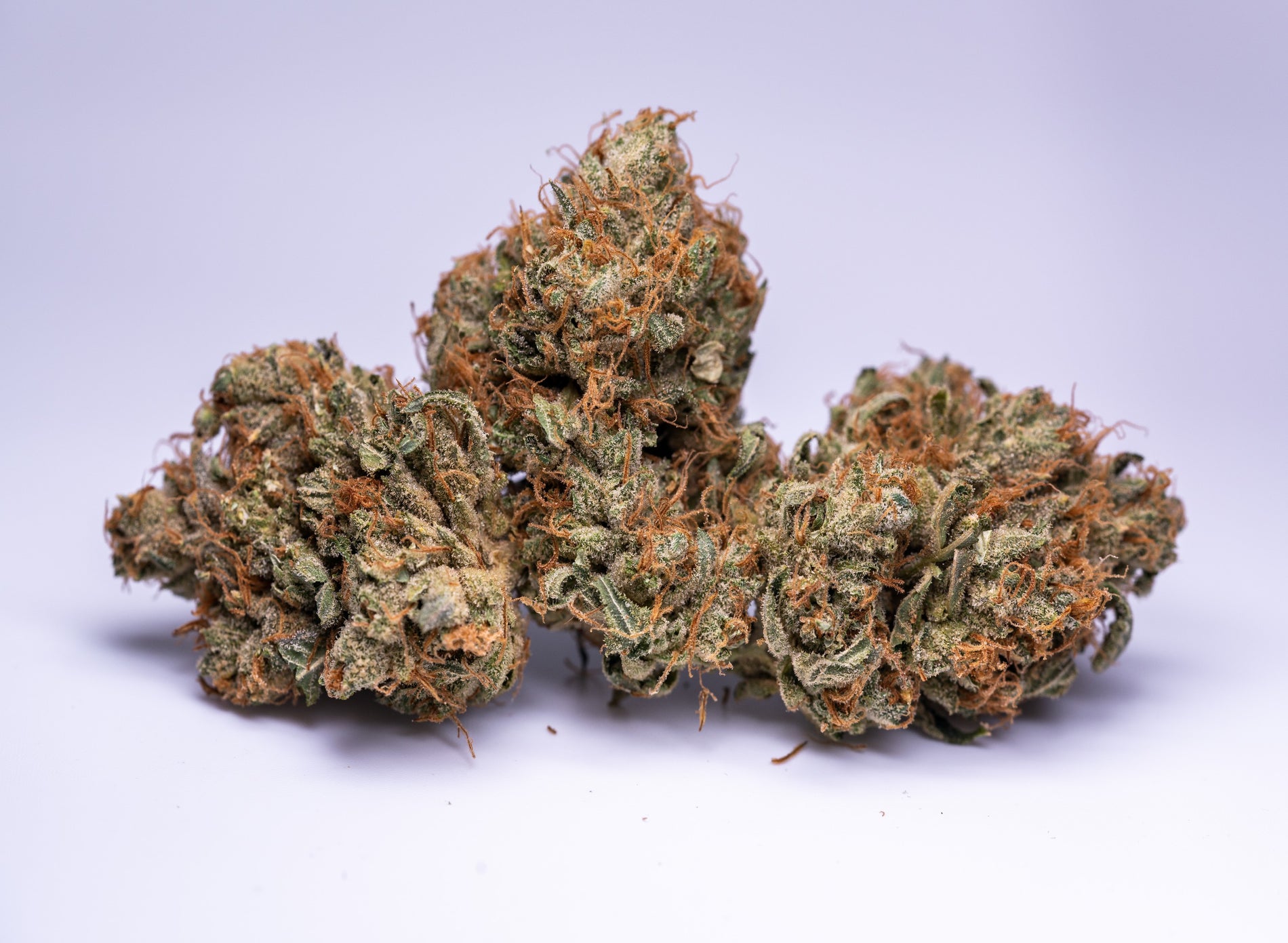 Cannabis Strain Overview: Orangutan Titties - Gamut Packaging