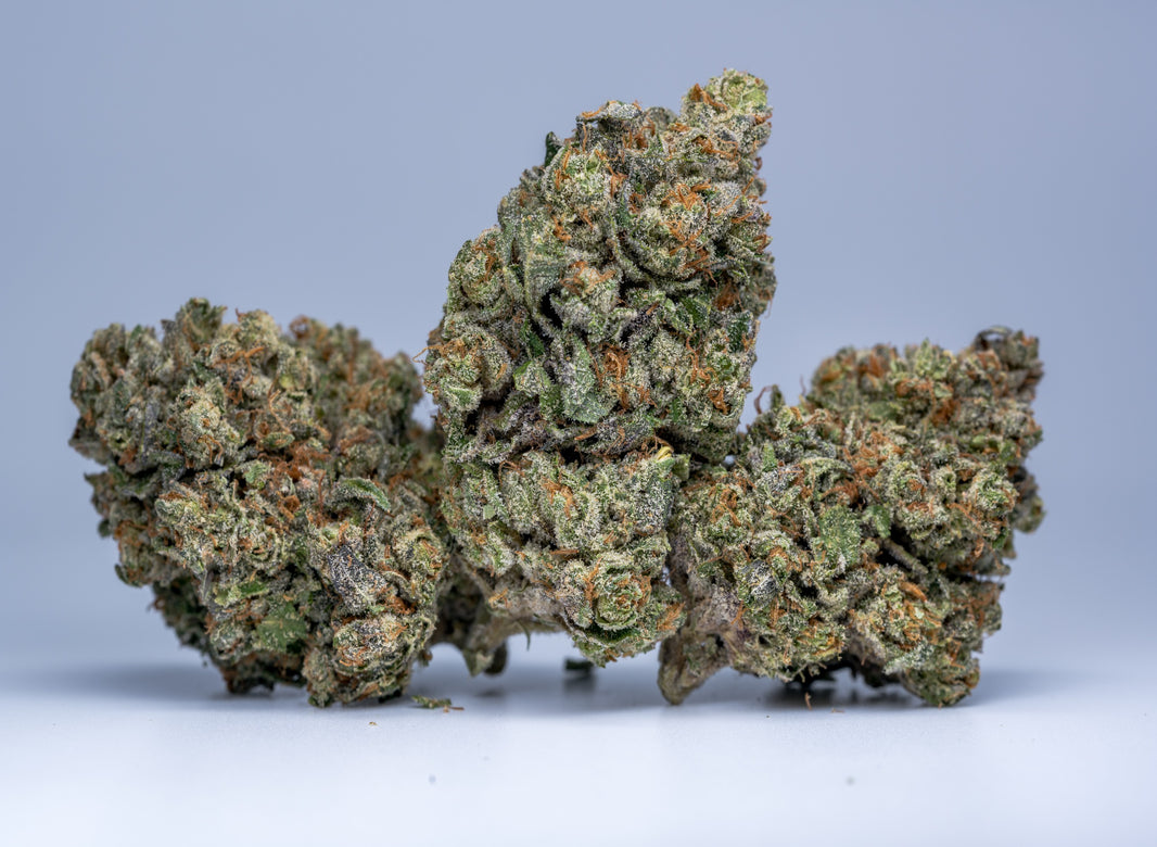 Cannabis Strain Overview: Gelato - Gamut Packaging