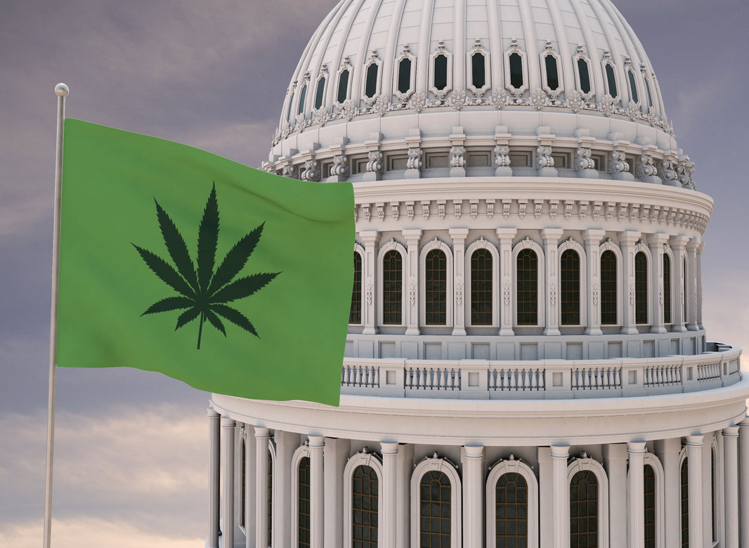 State Regulators Urge Congress to Redefine Hemp and Delta-8 THC Regulations - Gamut Packaging