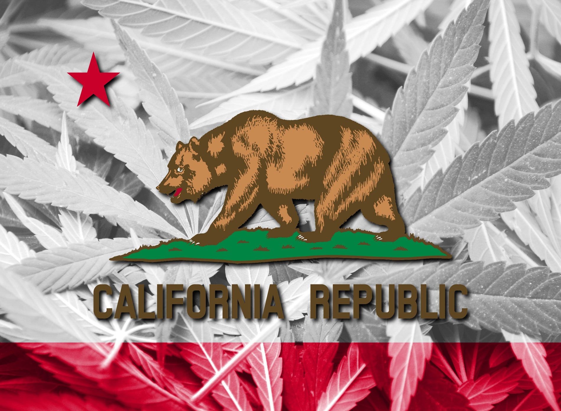 California Legislature Advances Key Cannabis Bills To The Governor - Gamut Packaging