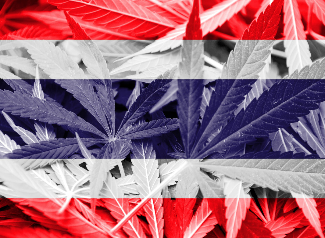 Thailand Set to Limit Cannabis Sales to Medical Use Only - Gamut Packaging