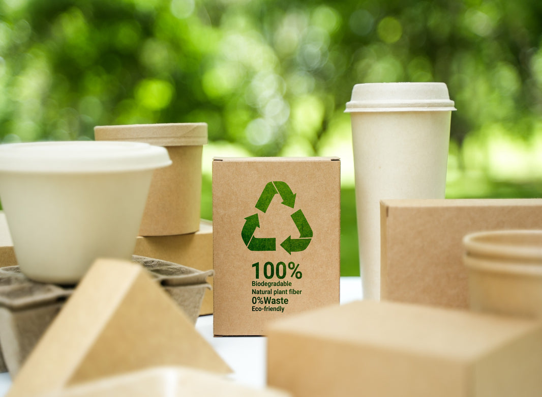 How Sustainable Packaging Reduce Food Waste - Gamut Packaging