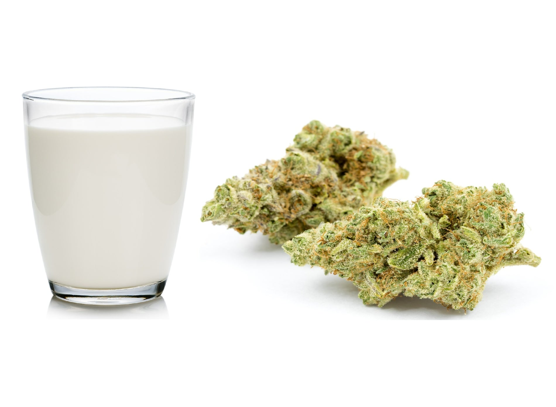 Cannabis Strain Overview: Cereal Milk - Gamut Packaging