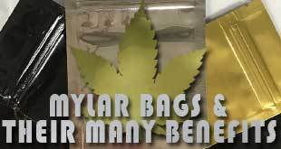 Mylar Bags Elevate Small Marijuana Businesses with Myriad Benefits - Gamut Packaging