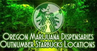 Oregon Marijuana Dispensaries Outnumber Starbucks Locations - Gamut Packaging