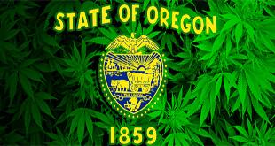 Oregon Marijuana Law: Governor To Allow Early Sales of Recreational Marijuana - Gamut Packaging