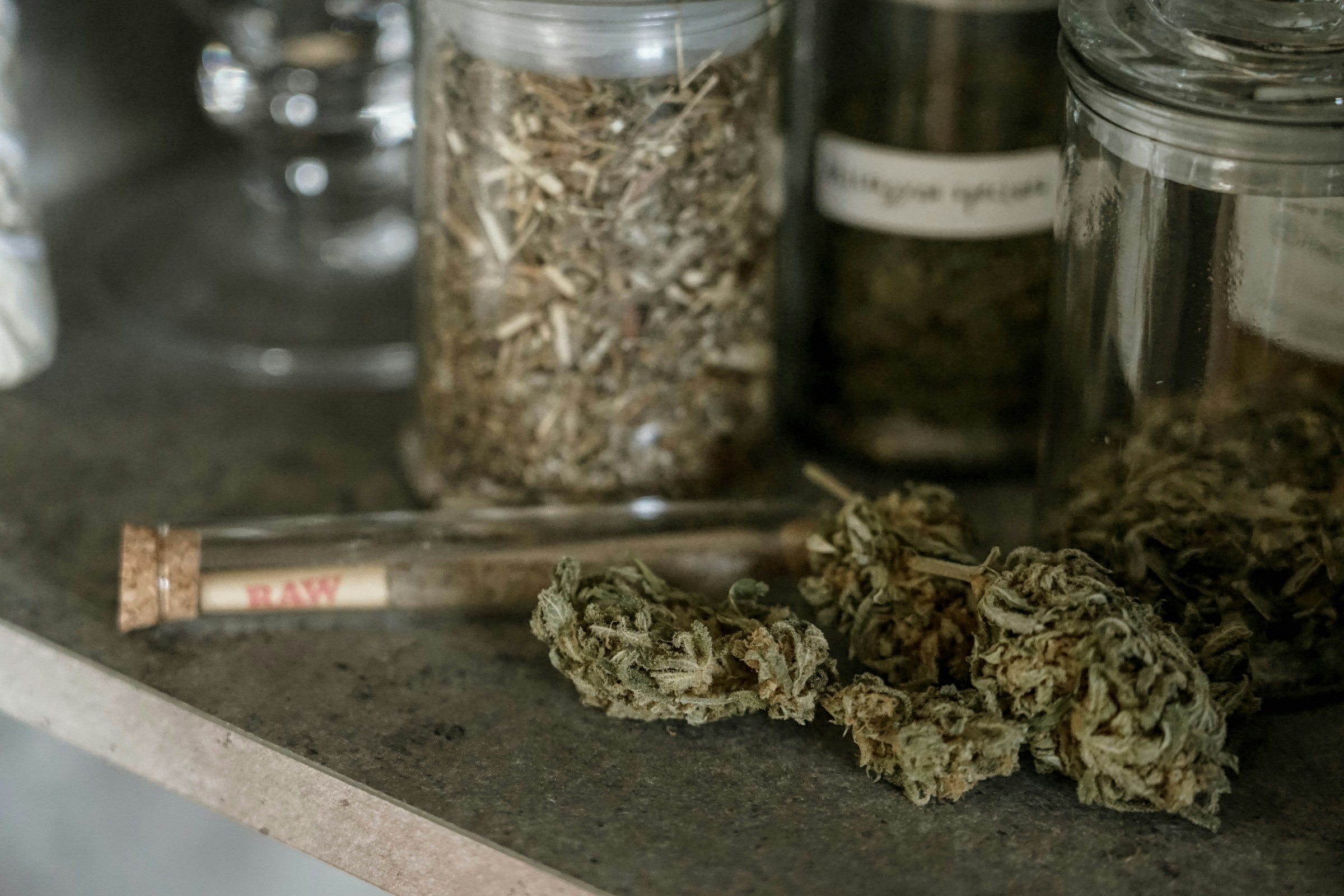 How Many Marijuana Plants Can You Grow in Pennsylvania? - Gamut Packaging