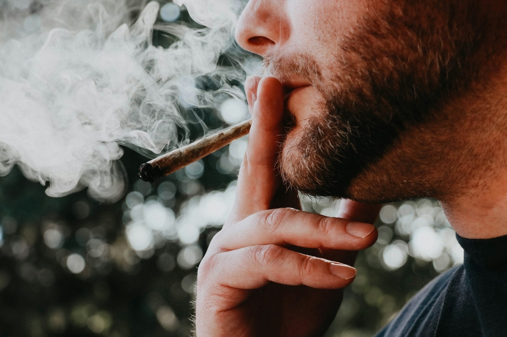 Can You Grow Marijuana in Michigan - Gamut Packaging