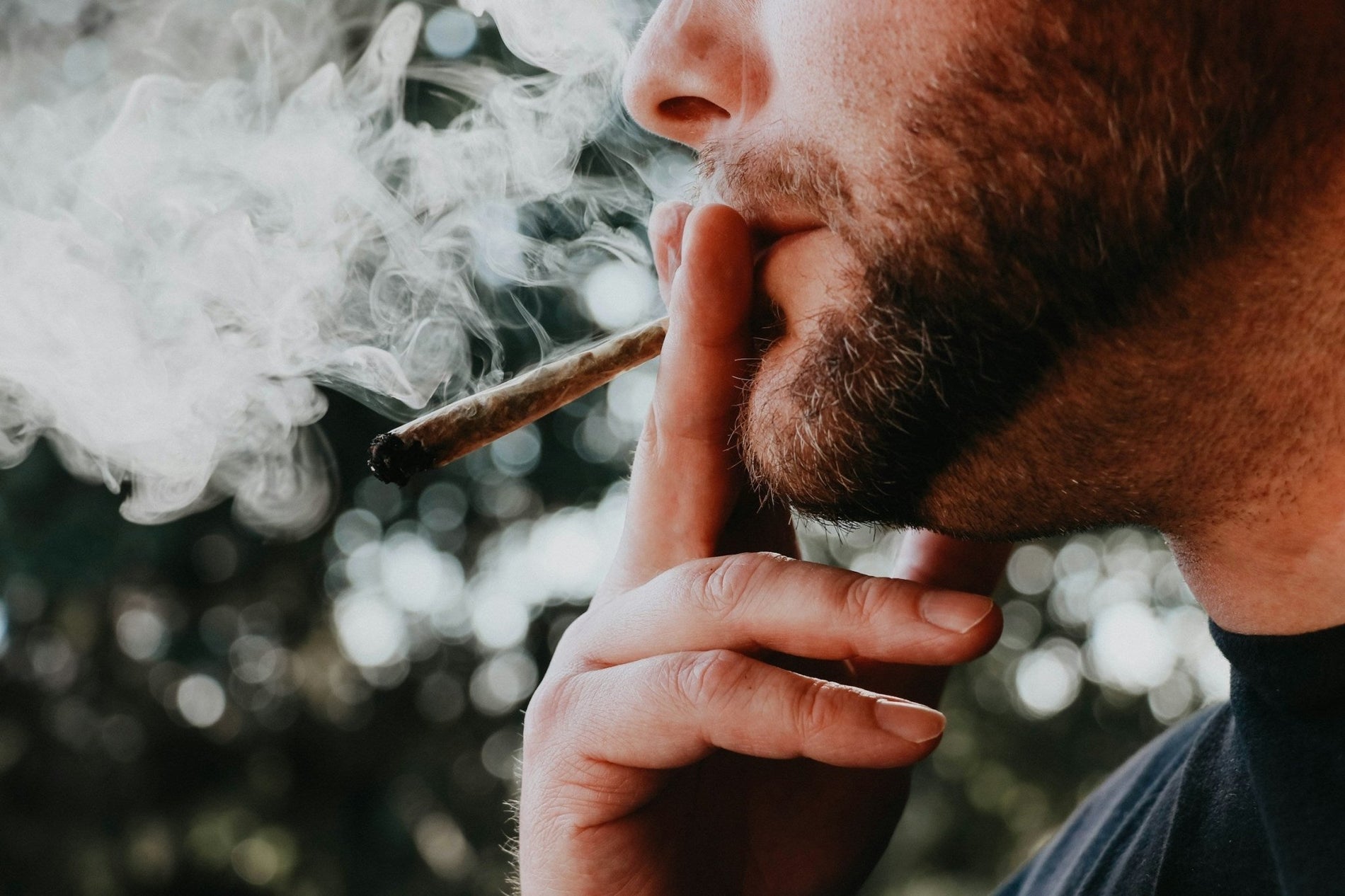 How to Cultivate Marijuana - Gamut Packaging
