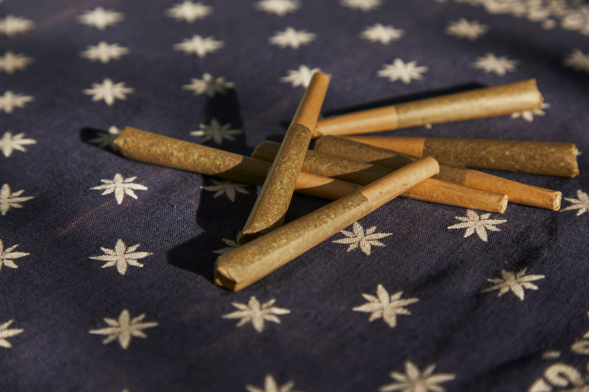 How Much Is a Pre-Rolled Blunt - Gamut Packaging