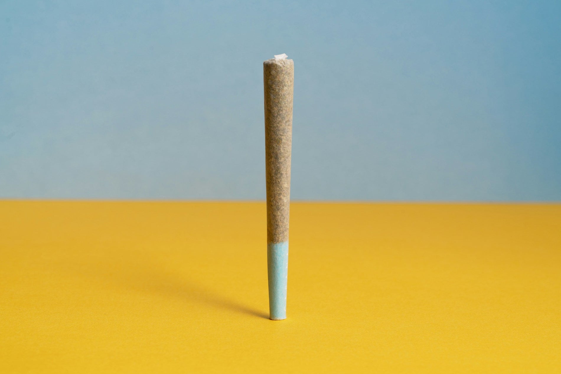 How to Open a Pre-Roll Tube - Gamut Packaging