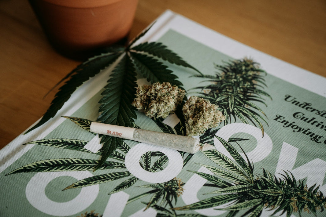 How Big Are the King Size Pre-Rolls - Gamut Packaging