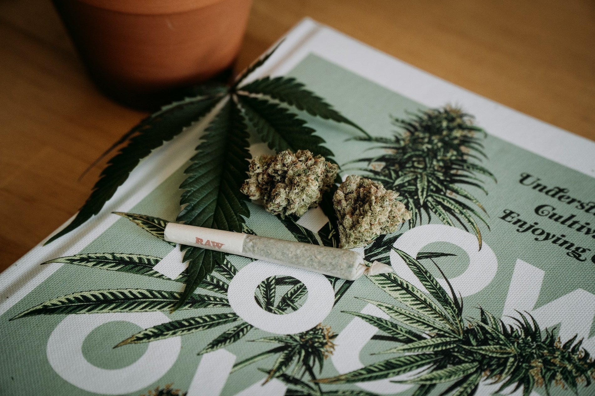 Why Are My Marijuana Buds Turning Brown? - Gamut Packaging